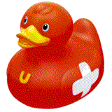 animated-rubber-duck-image-0132