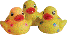 animated-rubber-duck-image-0148