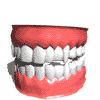 animated-tooth-image-0012