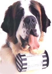 animated-st-bernard-image-0063