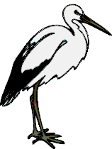 animated-stork-image-0009