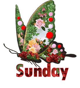 ▷ Sunday: Animated Images, Gifs, Pictures & Animations - 100% FREE! ▷ Sunday: Animated Images, Gifs, Pictures & Animations - 100% FREE!
