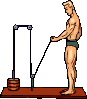 animated-bodybuilding-image-0030