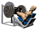 animated-bodybuilding-image-0077