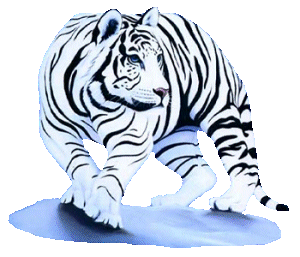 ▷ Tigers: Animated Images, Gifs, Pictures & Animations - 100% FREE! ▷ Tigers: Animated Images, Gifs, Pictures & Animations - 100% FREE!