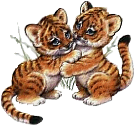 ▷ Tigers: Animated Images, Gifs, Pictures & Animations - 100% FREE! ▷ Tigers: Animated Images, Gifs, Pictures & Animations - 100% FREE!