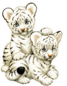 animated-tiger-image-0028