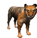 animated-tiger-image-0041