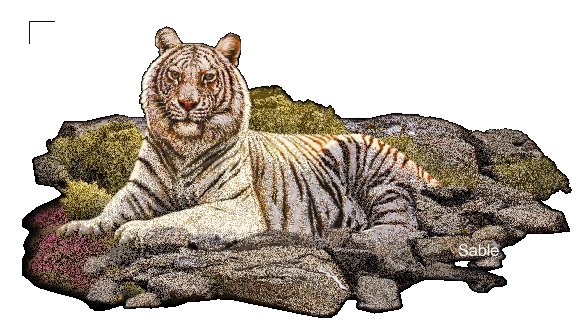 ▷ Tigers: Animated Images, Gifs, Pictures & Animations - 100% FREE! ▷ Tigers: Animated Images, Gifs, Pictures & Animations - 100% FREE!
