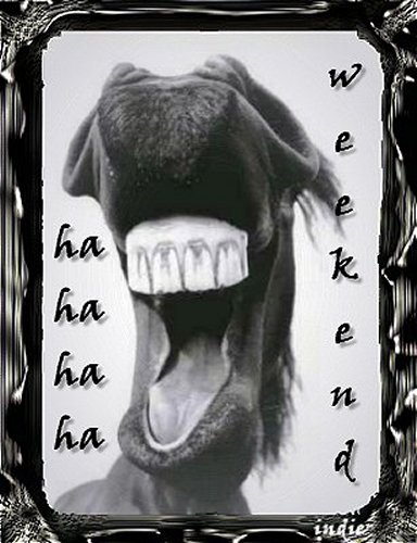 animated-weekend-image-0009