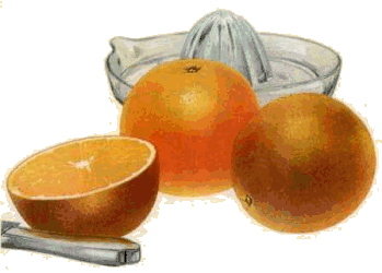 animated-grapefruit-image-0014