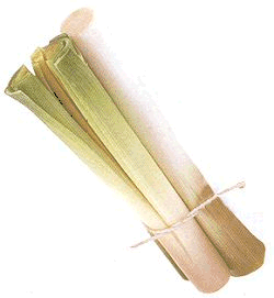 animated-leek-image-0002