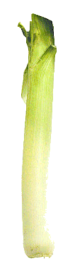 animated-leek-image-0010