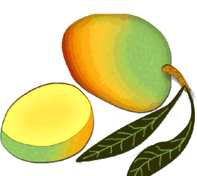 animated-mango-image-0005