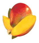 animated-mango-image-0008