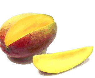 animated-mango-image-0014