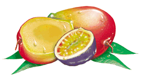 animated-mango-image-0016