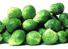 animated-brussels-sprout-image-0005