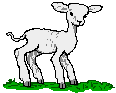 animated-easter-lamb-image-0043