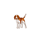 animated-beagle-image-0006