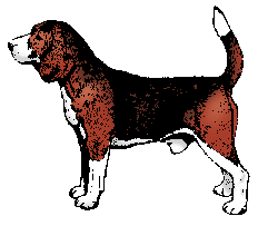 animated-beagle-image-0016