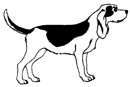 animated-beagle-image-0021