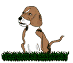 animated-beagle-image-0026