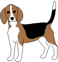 animated-beagle-image-0029