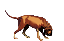 animated-bloodhound-image-0007