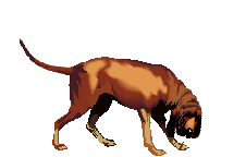 animated-bloodhound-image-0008