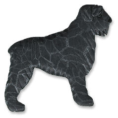 animated-bouvier-des-flandres-image-0007