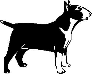 animated-bull-terrier-image-0007