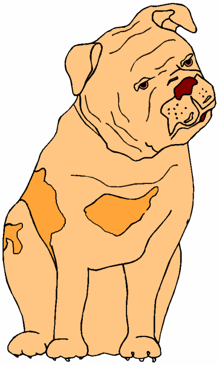 animated-bulldog-image-0014