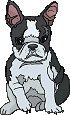 animated-bulldog-image-0024