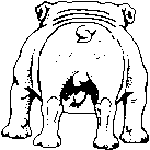 animated-bulldog-image-0044