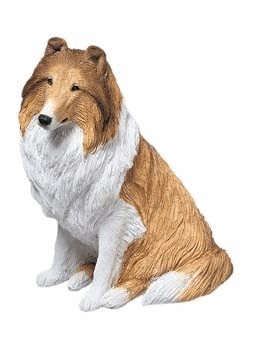 animated-collie-image-0006