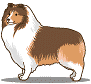 animated-collie-image-0014