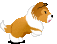 animated-collie-image-0021