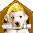 animated-golden-retriever-image-0011