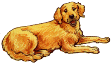 animated-golden-retriever-image-0020