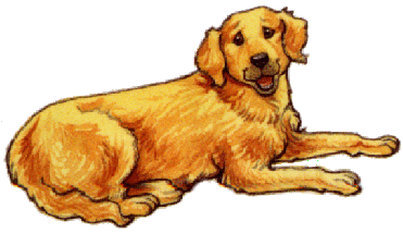 animated-golden-retriever-image-0020