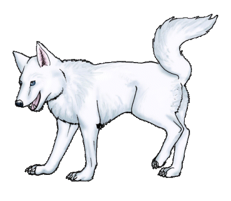 animated-husky-image-0015