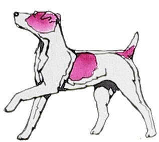 animated-jack-russell-terrier-image-0004