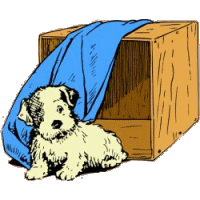animated-maltese-dog-image-0003