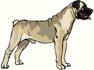 animated-neapolitan-mastiff-image-0004