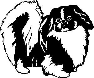 animated-pekinese-image-0009