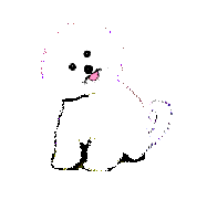 animated-puppy-image-0045