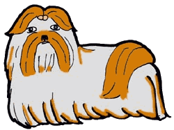 animated-shih-tzu-image-0007