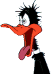 animated-crow-image-0001