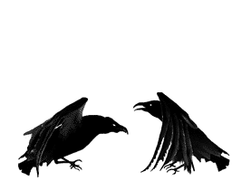animated-crow-image-0006